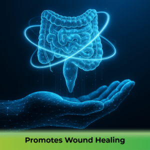 Promotes Wound Healing