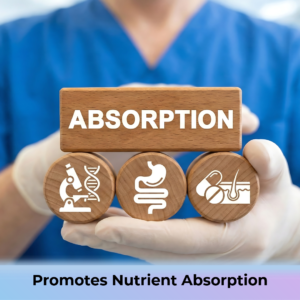 Balhitak_Benefits+Key Ingredients-11