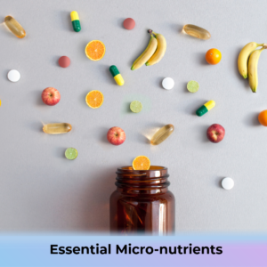 Balhitak_Benefits+Key Ingredients-8