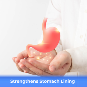 Ulciheal_Benefits+Key Ingredients-8