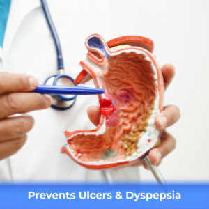 Ulciheal_Benefits+Key Ingredients-9