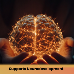 Supports Neurodevelopment