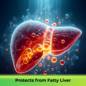 fatty_liver