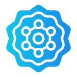 Anti-Oxidative Protection