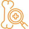 Bone Health