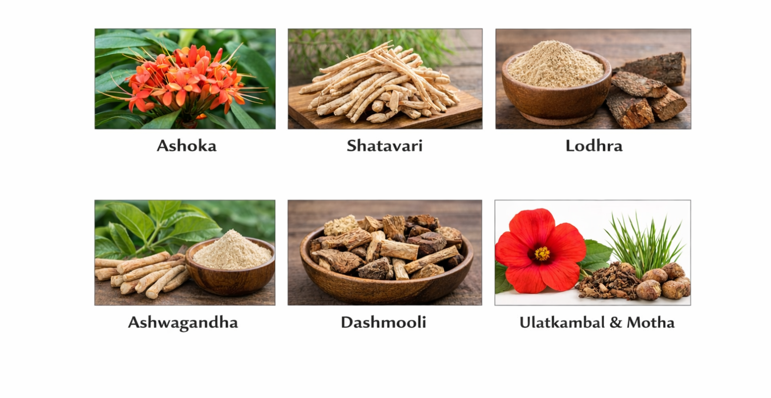 ChatGPT Image Feb 18, 2026, 12_01_15 AM