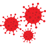HBV Antiviral Activity