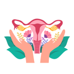 Hormonal balance (1)