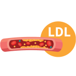 Reduces LDL Cholesterol