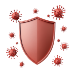 Strengthens Immunity