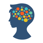 Supports Brain Development